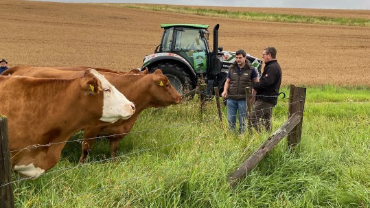 Naturnahe Rinderhaltung mit Vermarktung über das Programm "Grünland-Spessart"
