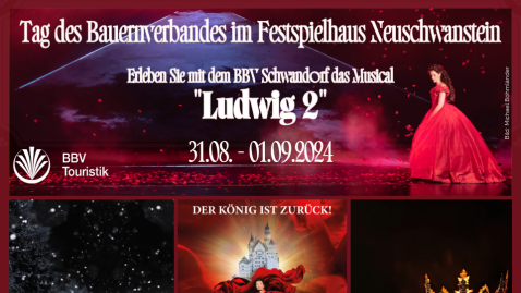 Musical "Ludwig2"