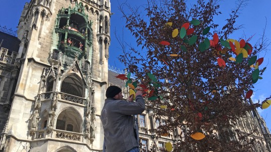 Der Wunschbaum des Herrschinger Grundkurs auf dem Marienplatz München