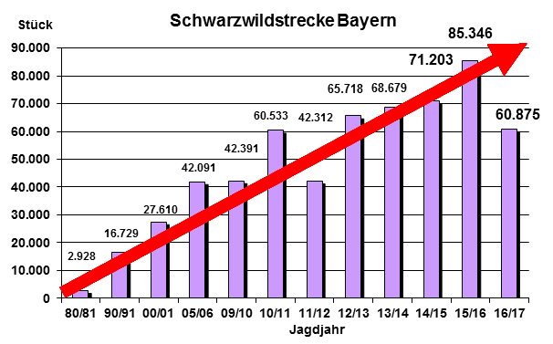 Grafik zur Schwarzwildpopulation