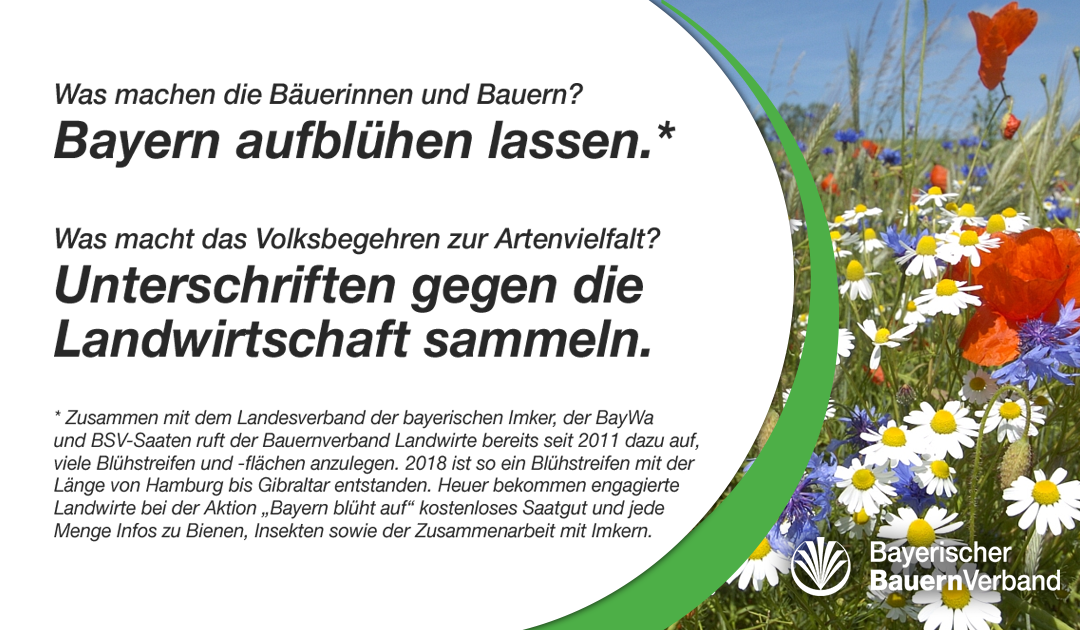 Sharepic Blühflächen Sharepic Blühflächen
