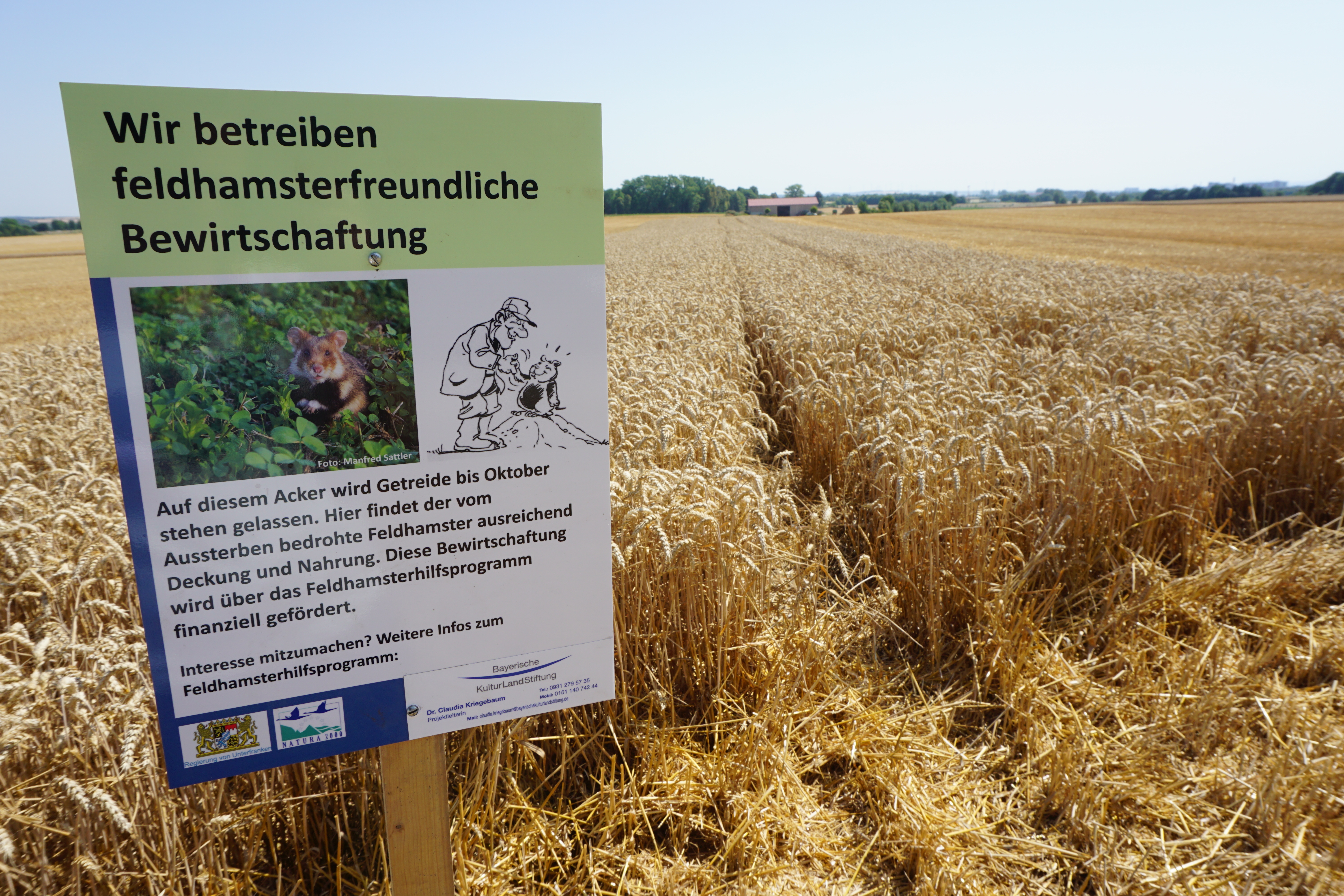 Schild Feldhamster Schild Feldhamster