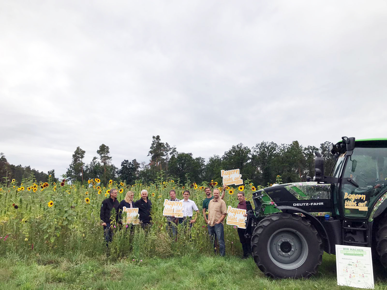 Biogas-Hanffeld mit Blühschlepper