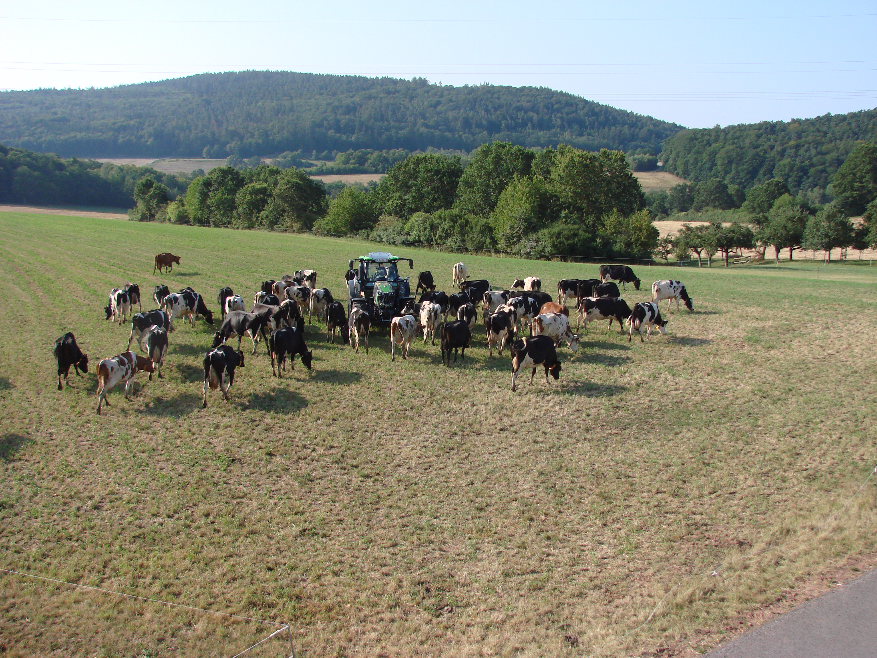 2019-08-05-Schleppertour-Bayern-blüht-auf