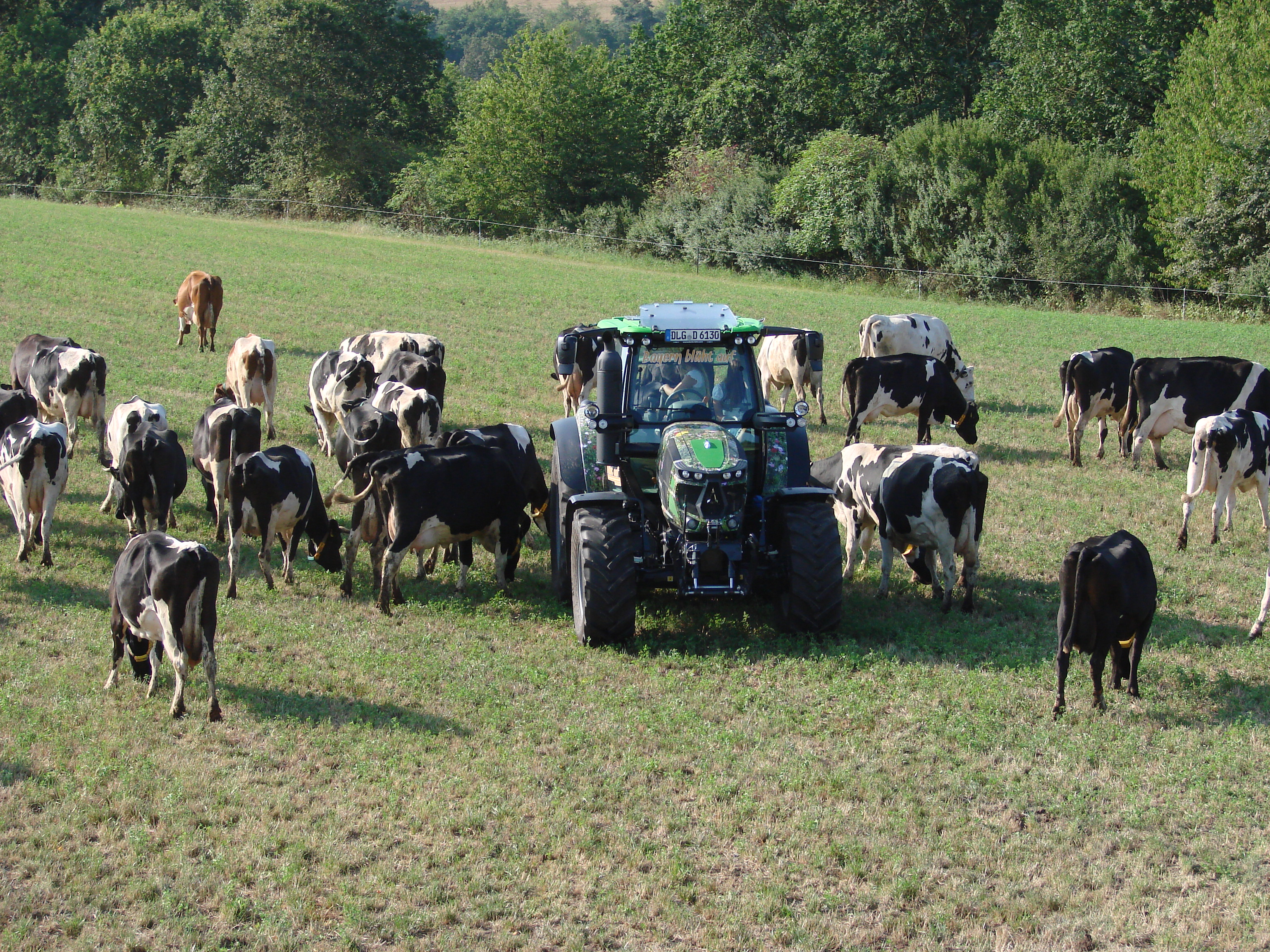2019-08-05-Schleppertour-Bayern-blüht-auf