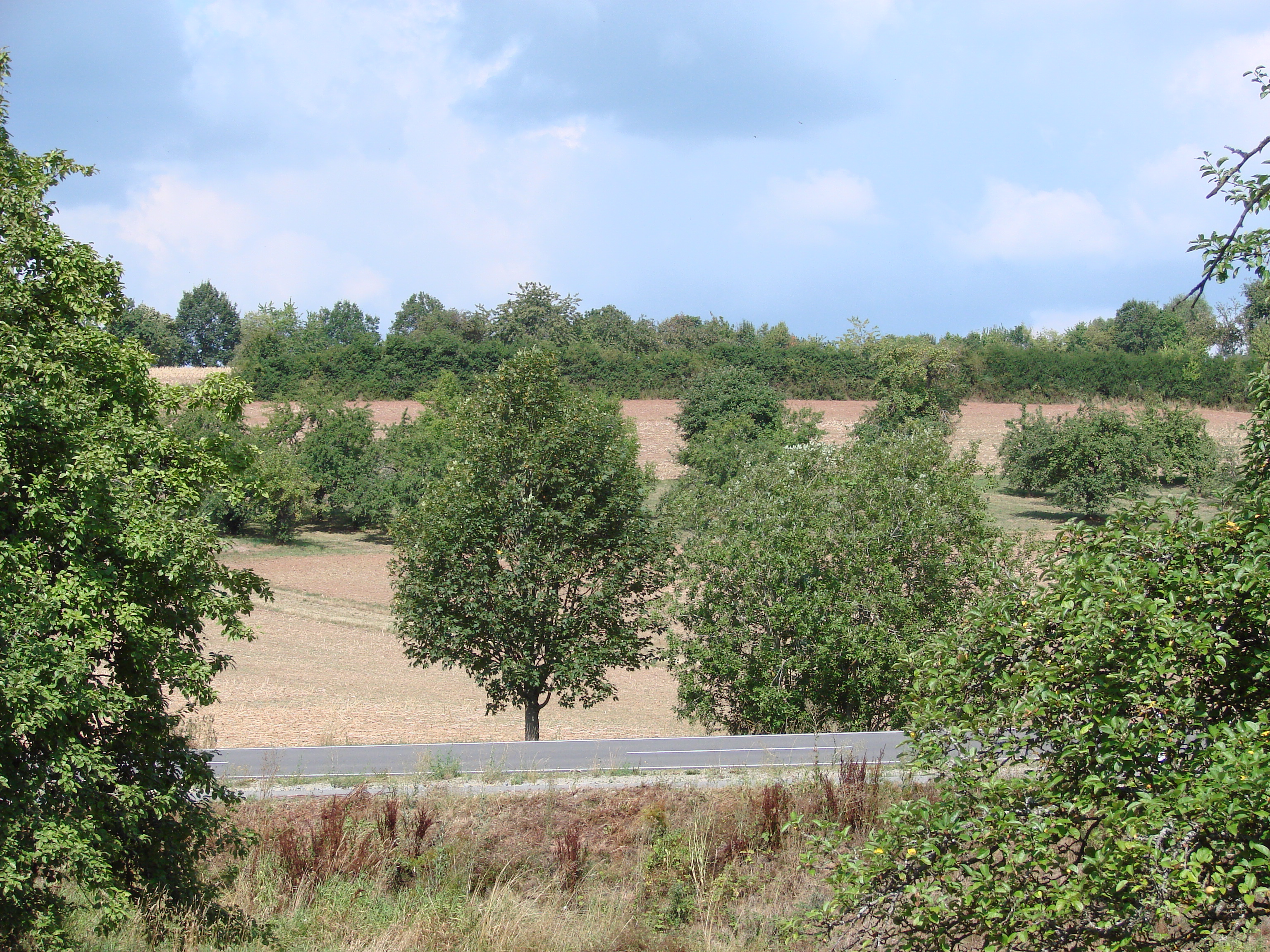 2019-08-05-Schleppertour-Bayern-blüht-auf