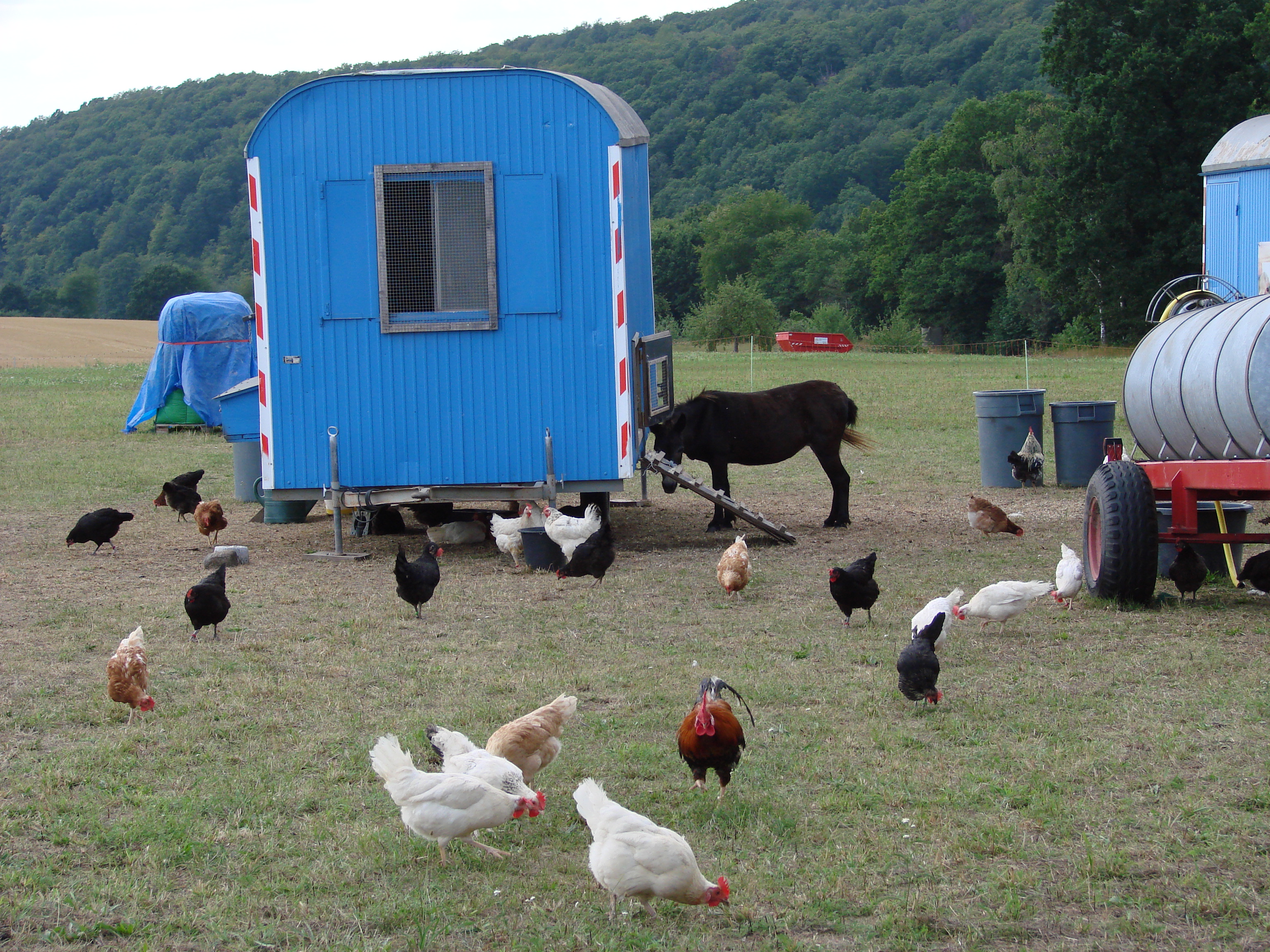 2019-08-05-Schleppertour-Bayern-blüht-auf