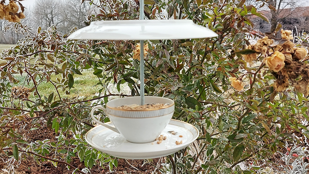 Das fertige Vogelhaus aus Porzellan mit Futter für Vögel