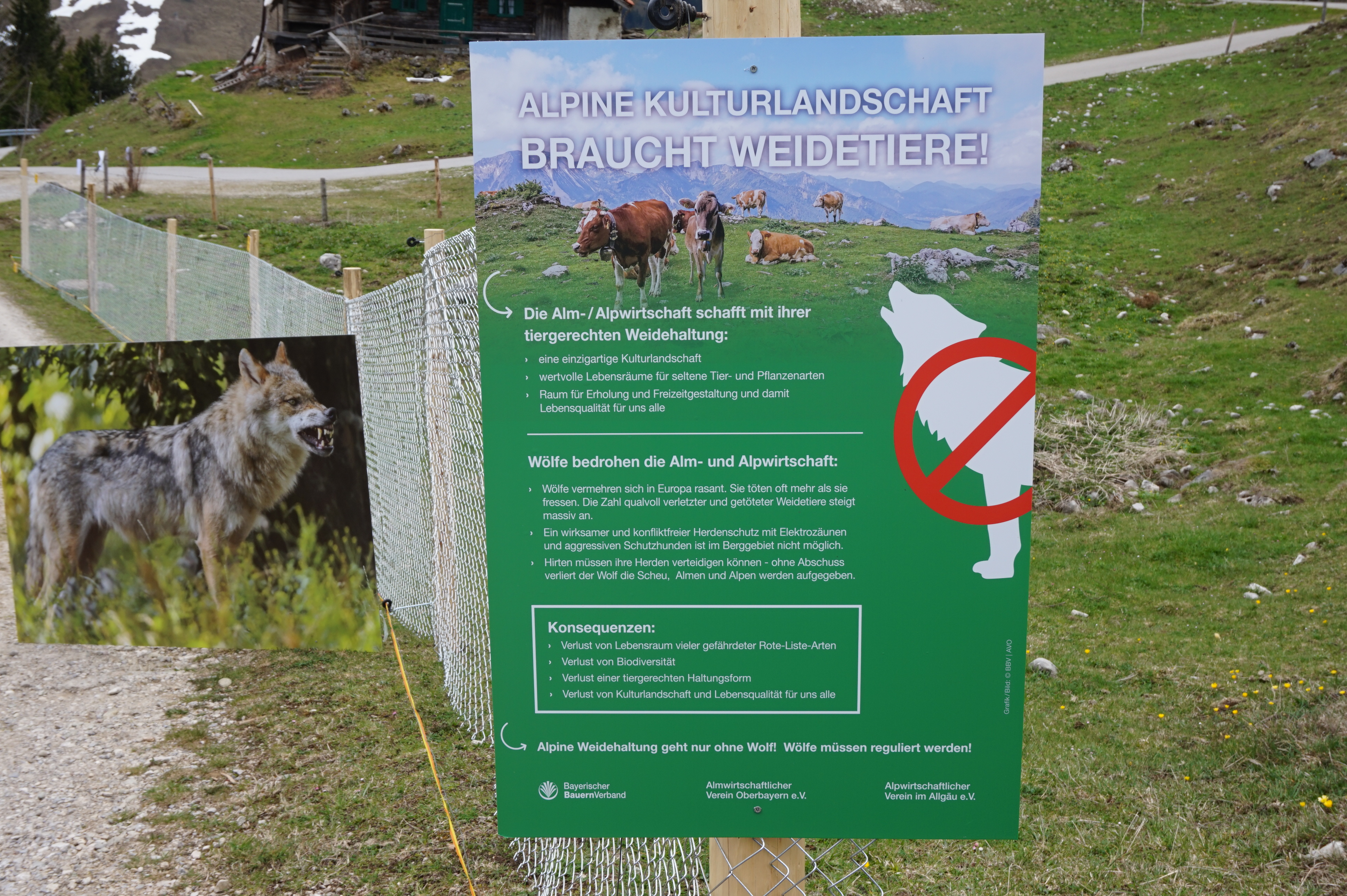 Plakat Kulturlandschaft und Wolf