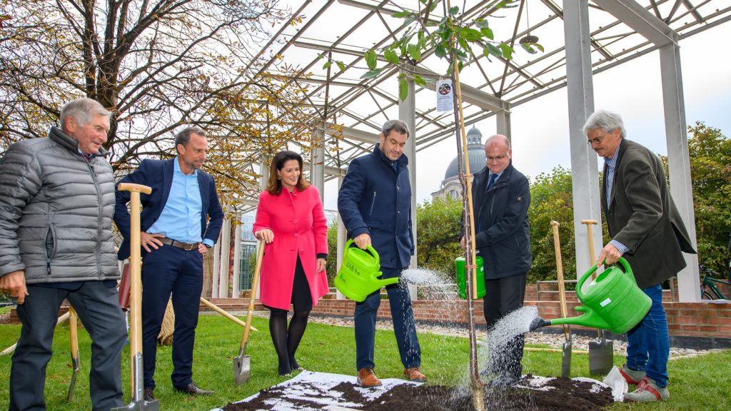 Streuobstpakt: Obstbaum im Hofgarten gepflanzt Streuobstpakt: Obstbaum im Hofgarten gepflanzt