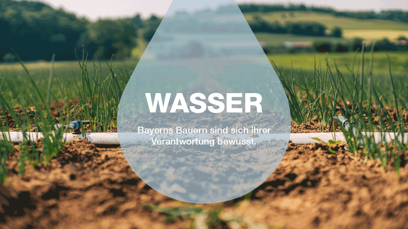 2022-03-11_TdW_Troepfchenbewaesserung_(c)ALB_Bayern.png