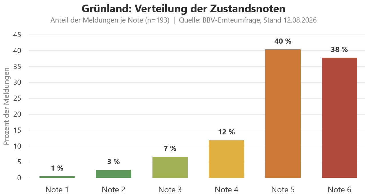 Grünland Zustandsnoten Bayern Sommer 2026