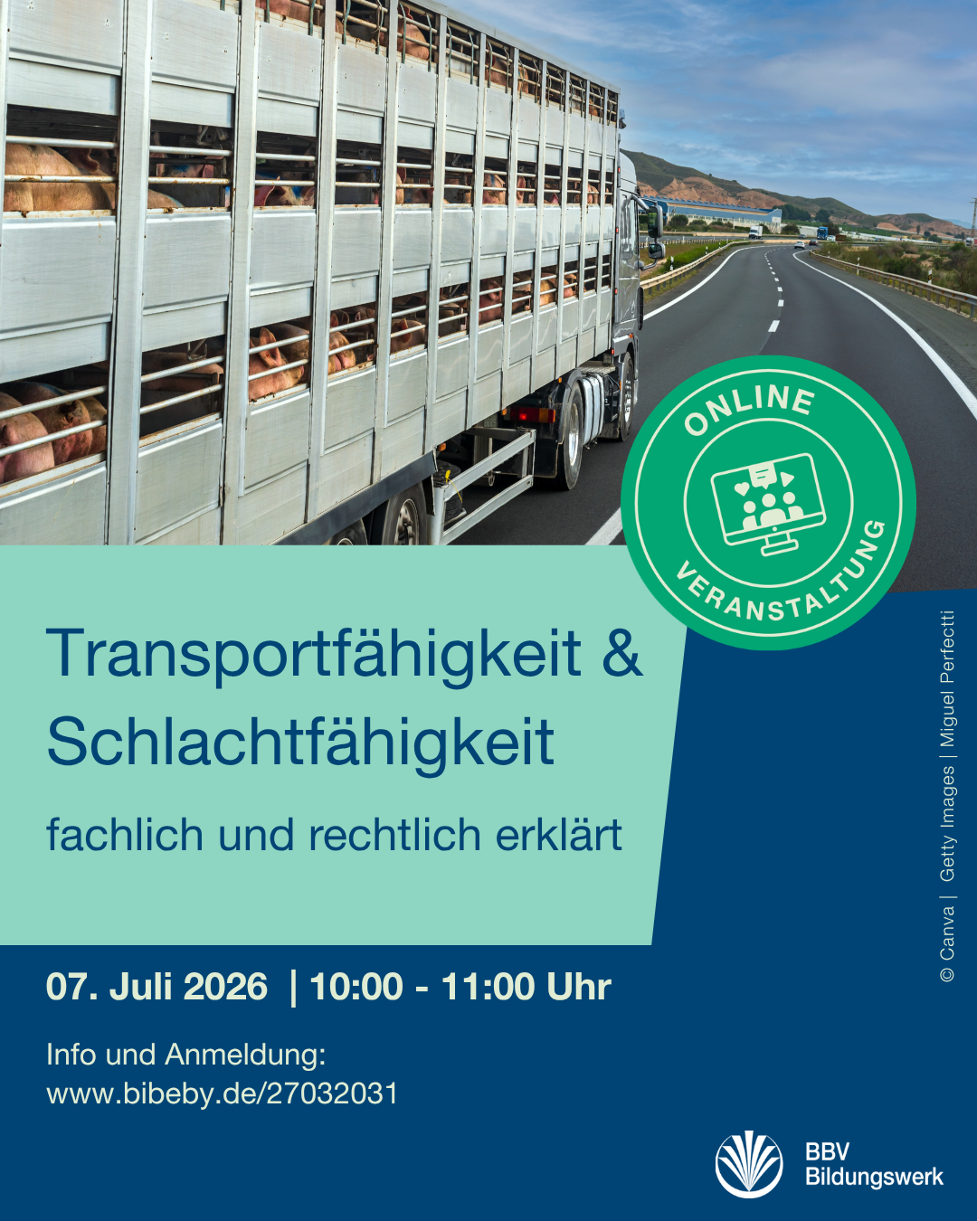 Transport- und Schlachtfähigkeit fachlich und rechtlich erklärt