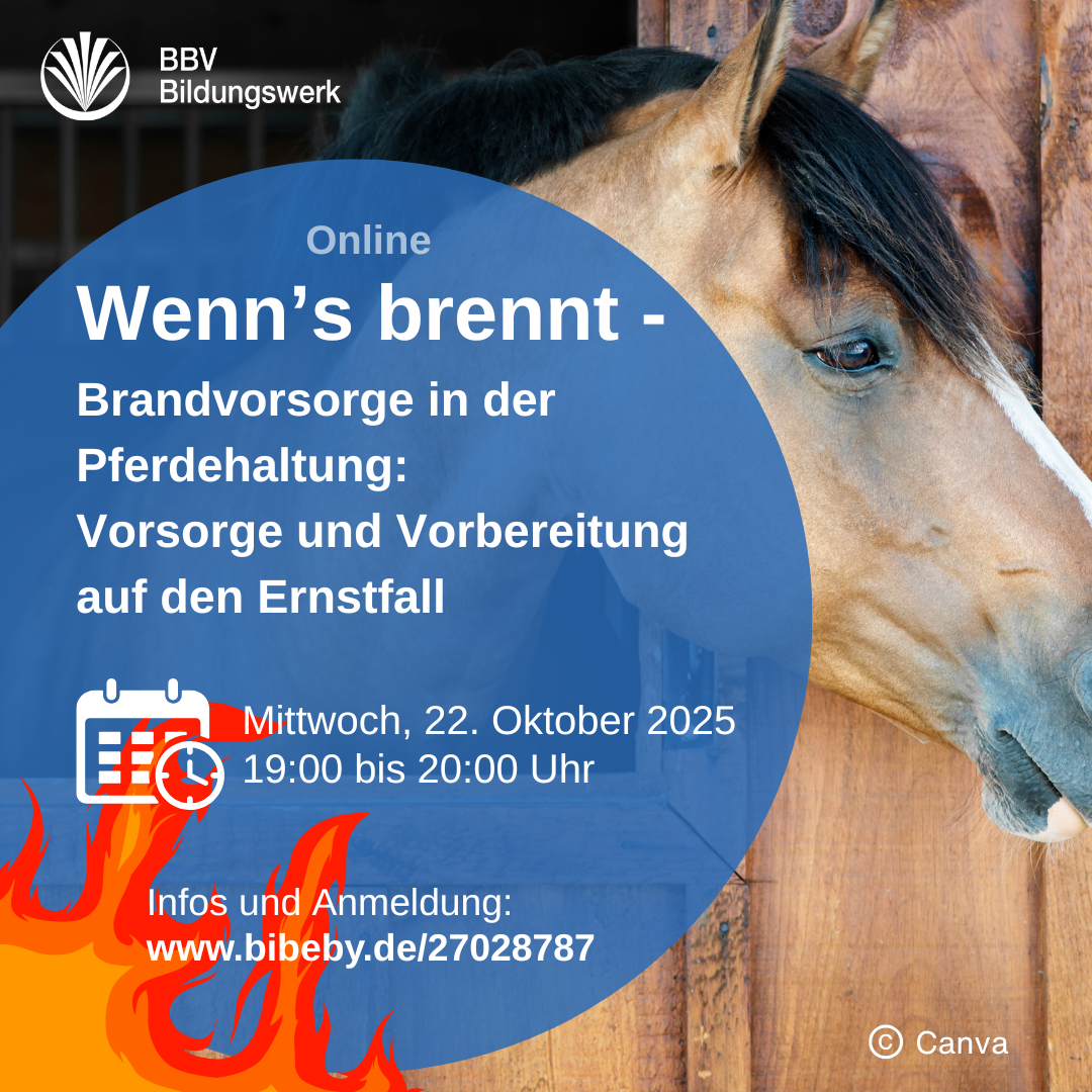 SharePic Online-Veranstaltung Brandschutz Pferdehaltung