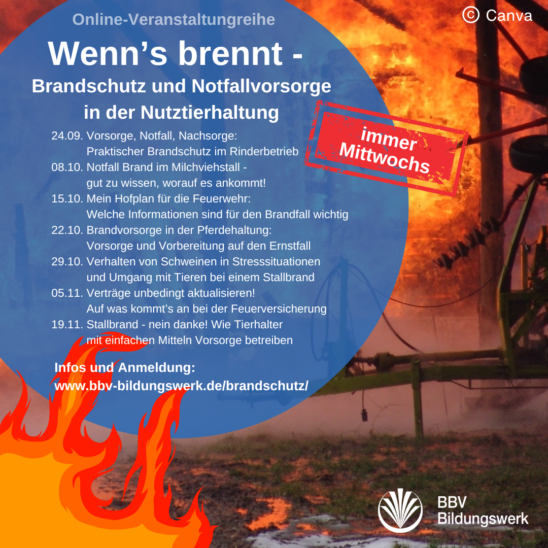 SharePic Online-Veranstaltung Brandschutz