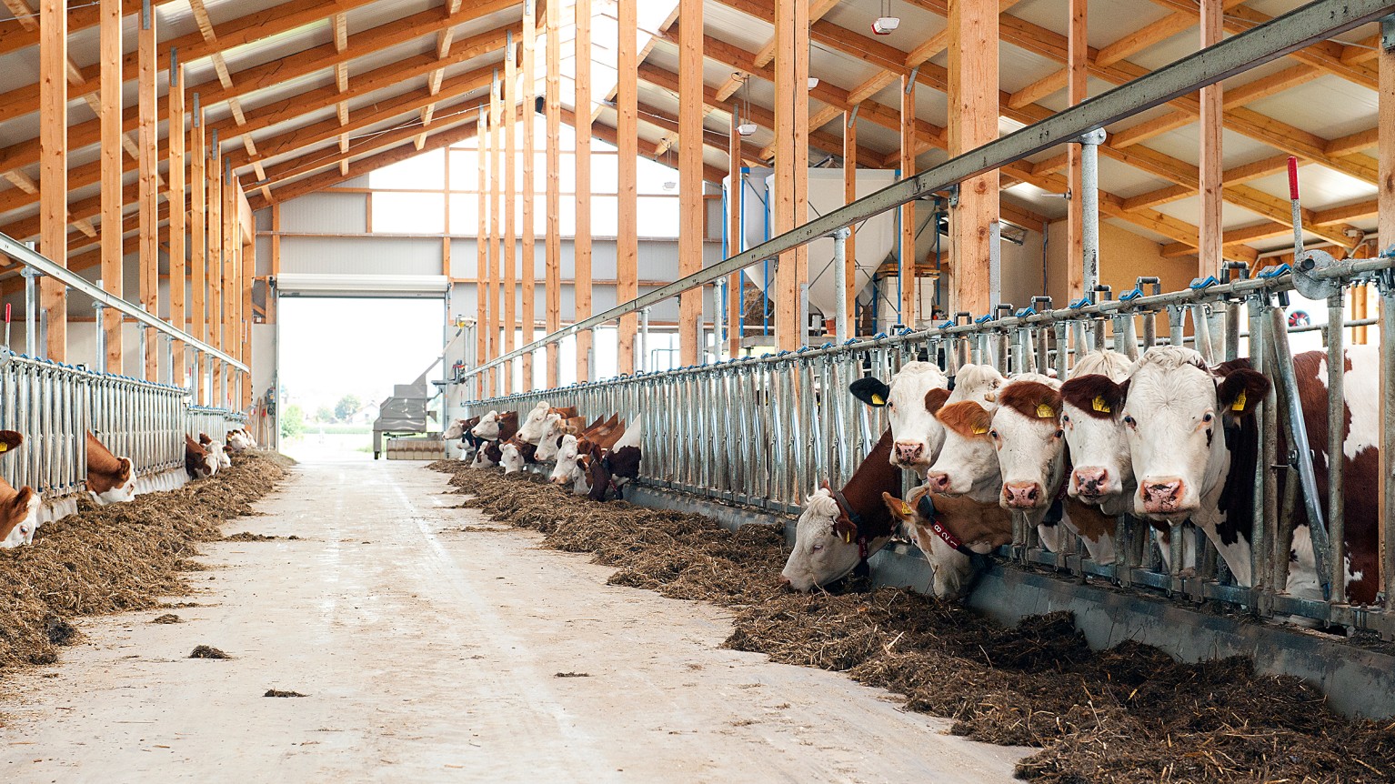 Milcherzeuger Aufgepasst Direktvermarktung Milch Bayerischer Bauernverband