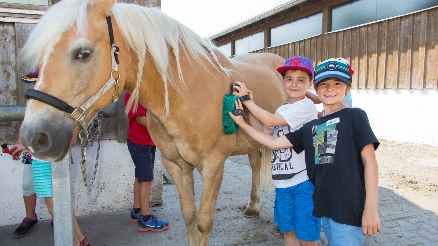 Kinder und ein Pferd