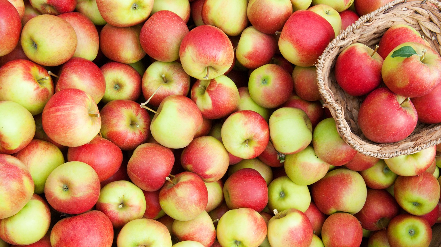 Apfel Richtig Lagern Bayerischer Bauernverband