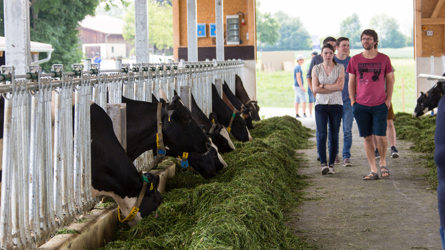 Besucher im Milchviehstall