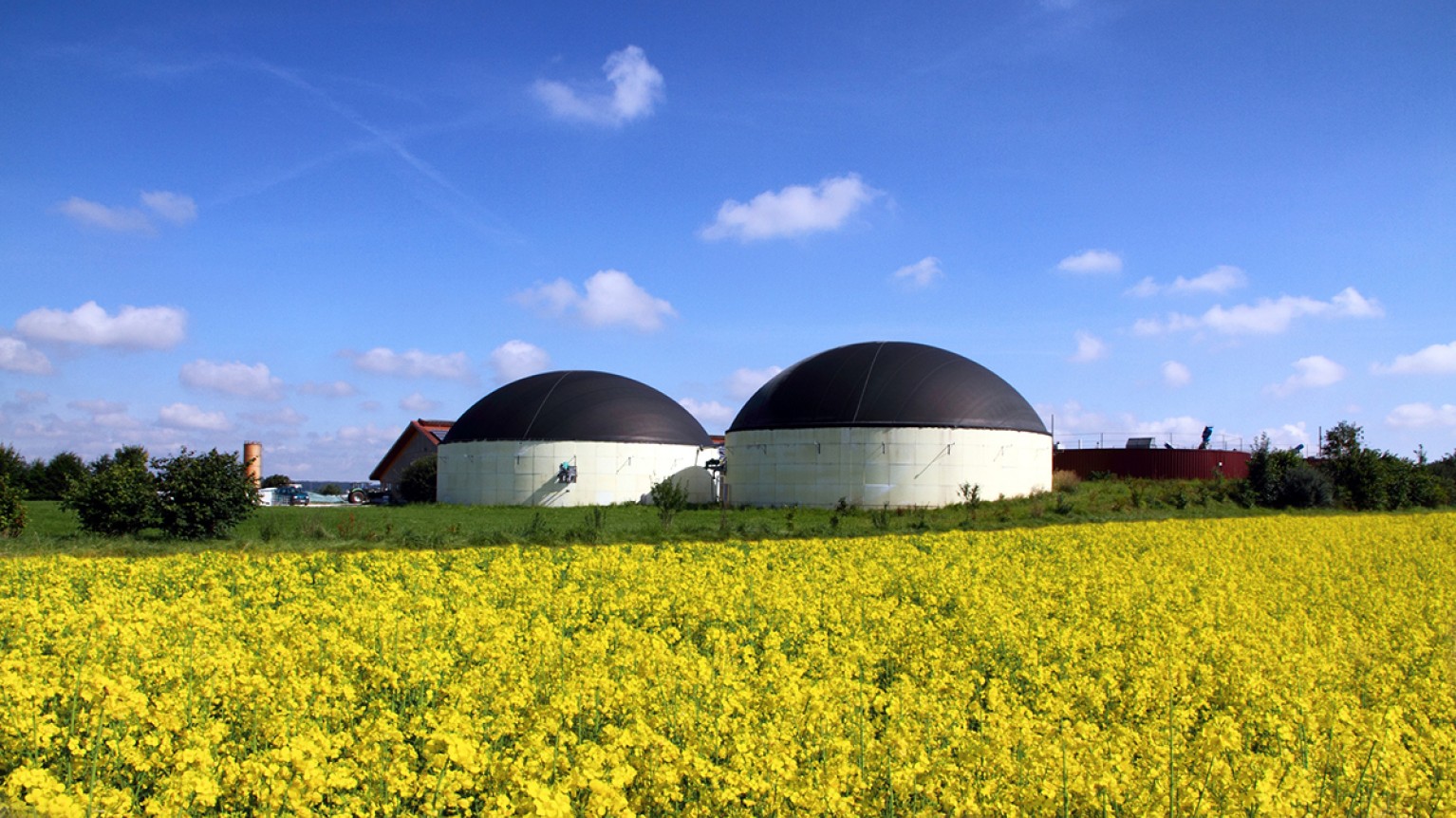Biogasanlage zwischen Rapsfeldern