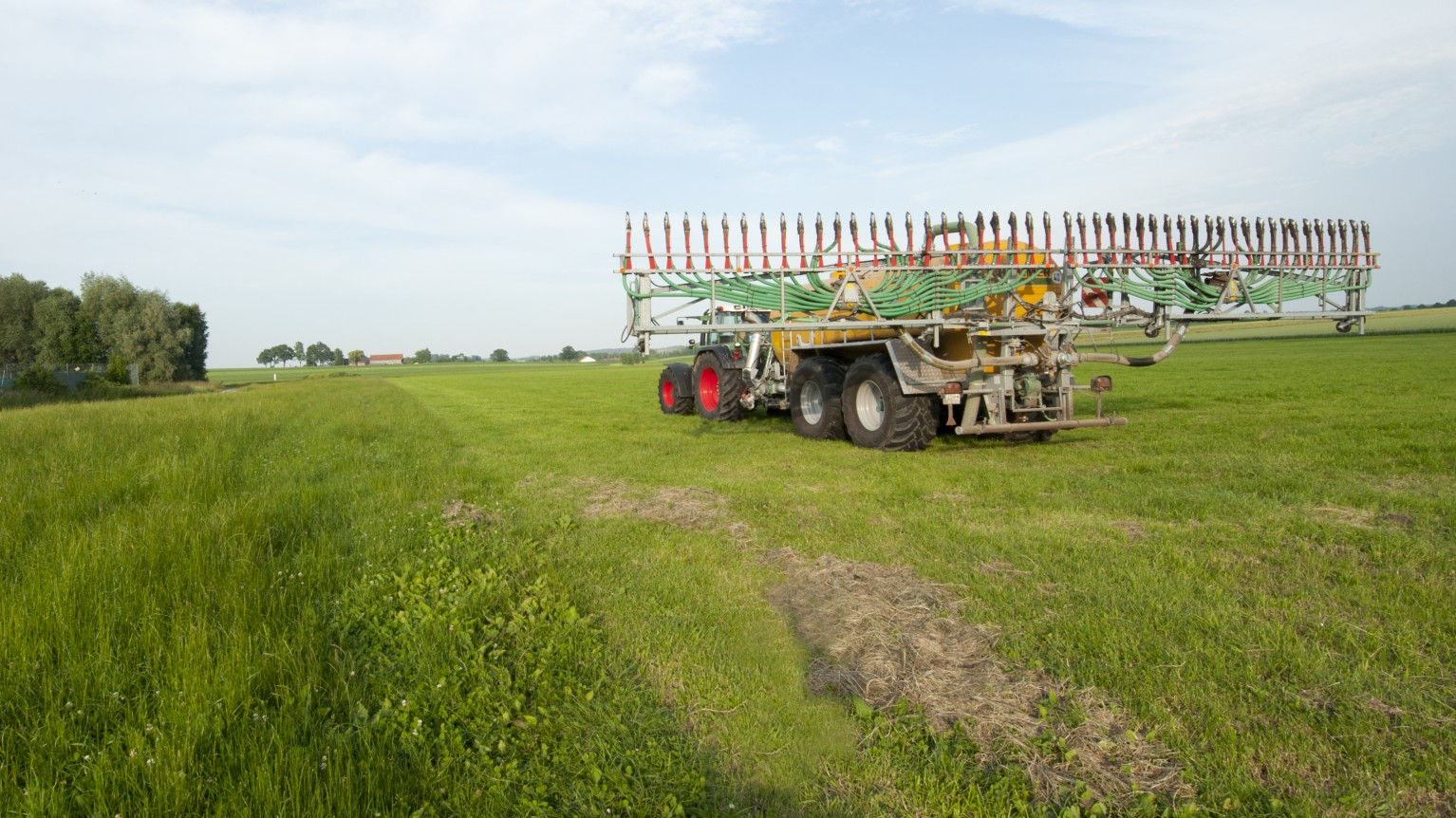 Ein Traktor mit Güllefass auf einer Wiese.
