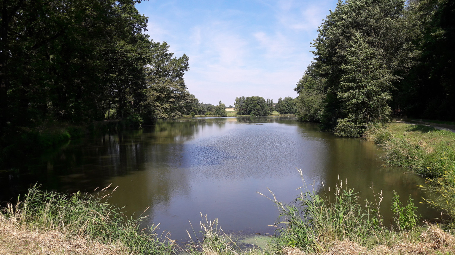 Tirschenreuth: Die Heimat von vielen Teichen Teich