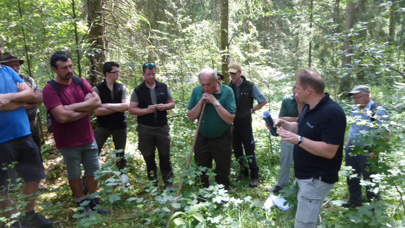 Waldbegang im Kenzengebiet