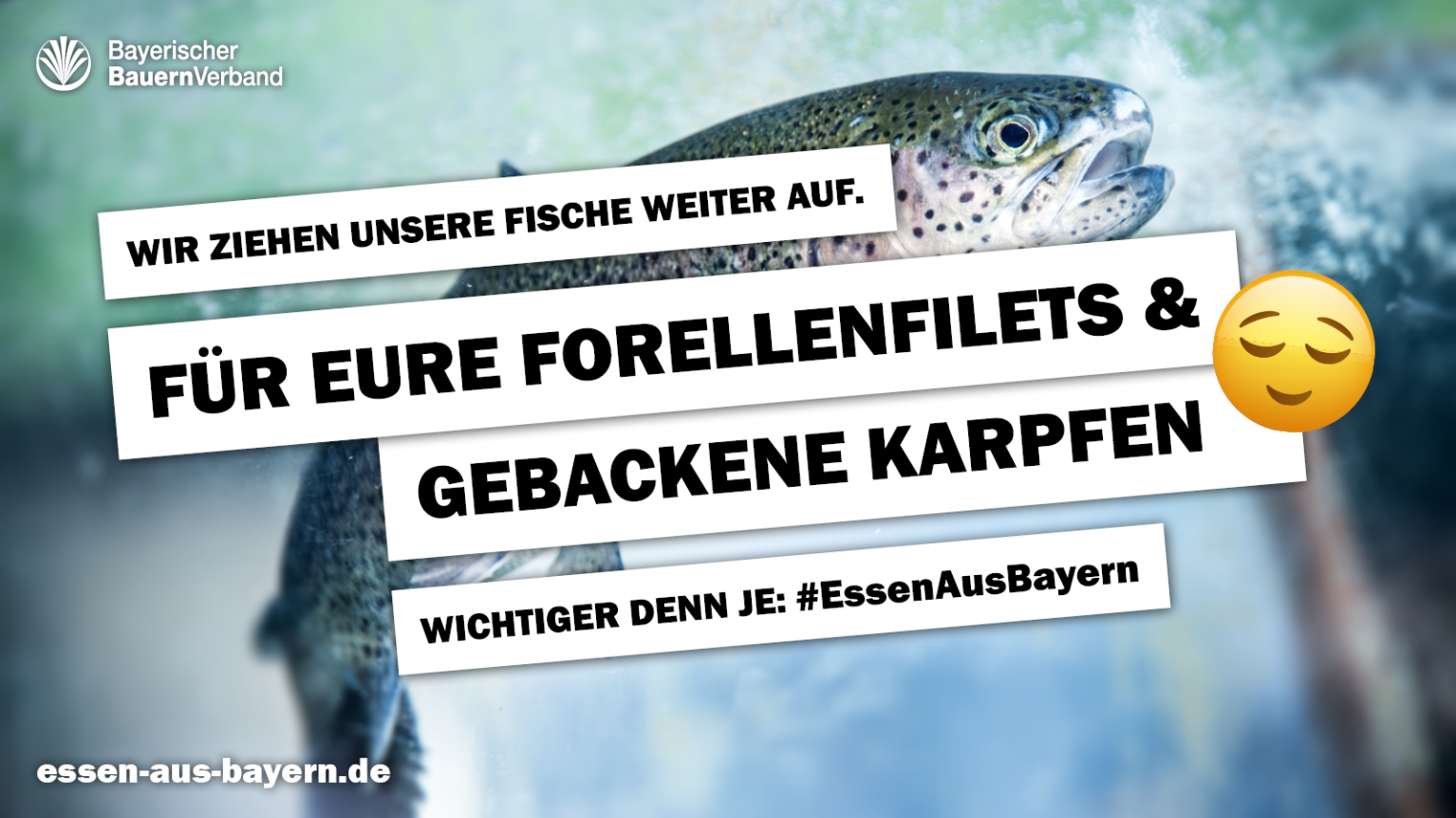 Motiv Fisch