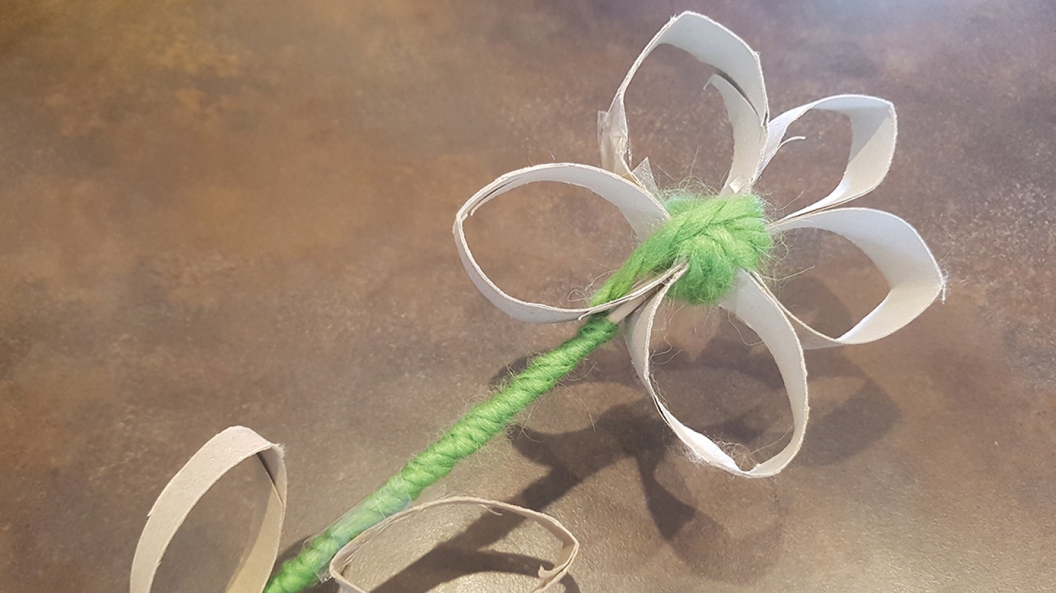 Rollenblume