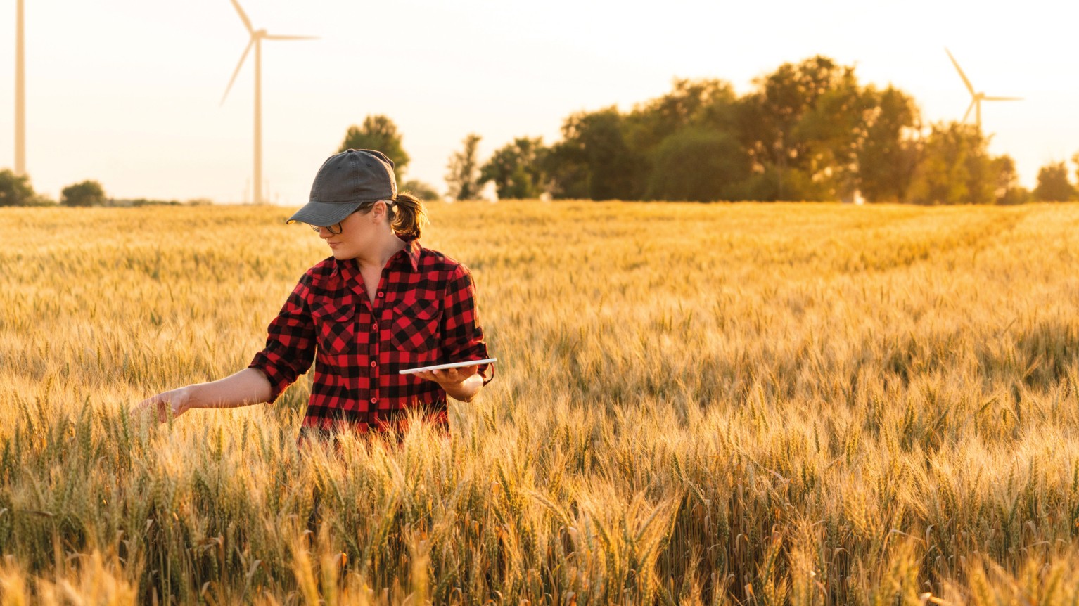 Single frauen landwirtschaft