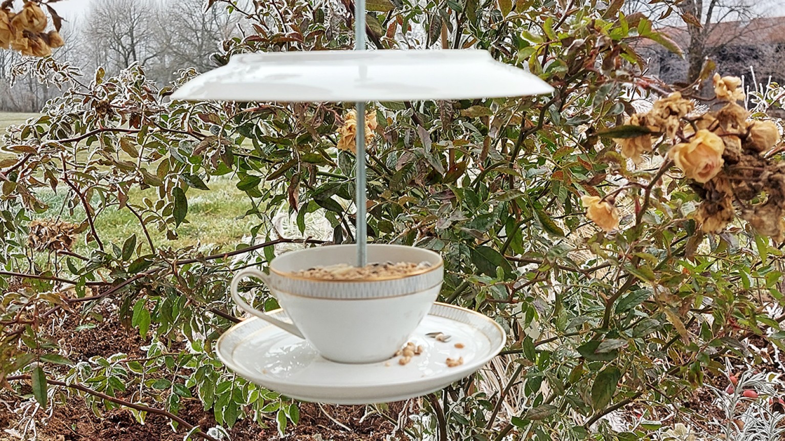 Das fertige Vogelhaus aus Porzellan mit Futter für Vögel
