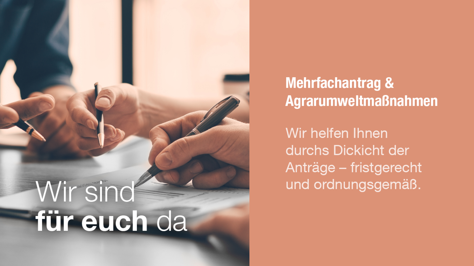 Mehrfachantrag