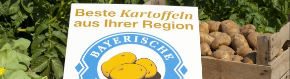 Kartoffelkiste mit Logoschild auf Acker