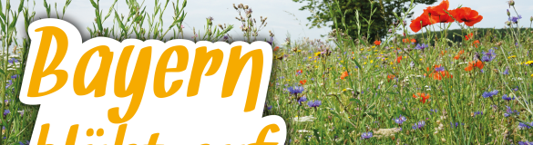 Landwirtschaft & Umwelt | Bayerischer Bauernverband