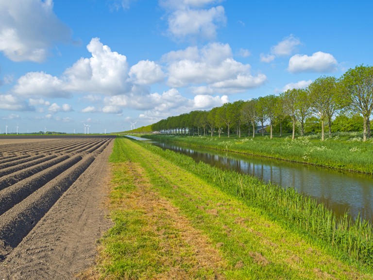 Ein Feld mit einem begradigten Bach rechts daneben