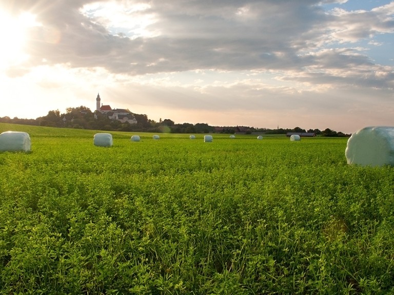 Landwirtschaftliche Fläche in Bayern mit Dorf im Hintergrund