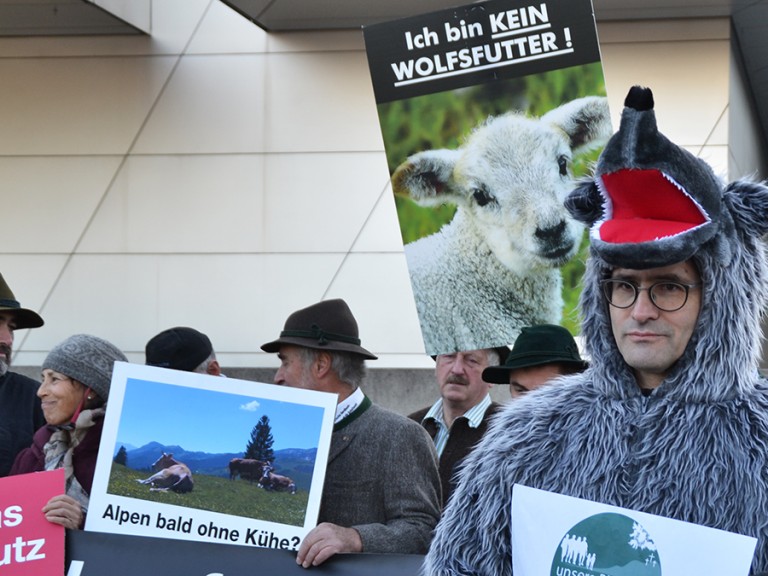 Bauern demonstrieren teilweise im Wolfs-Kostüm vor der BMW-Welt für mehr Schutz gegen das Raubtier