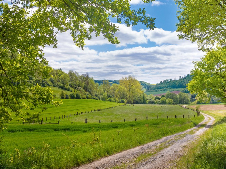 Feldweg durch Tal mit Wäldern und Feldern