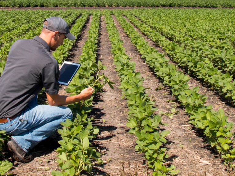 Junger Bauer kniet mit Tablet über seinem Feld