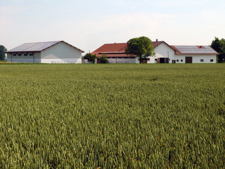 Flächenverbrauch in Bayern: Betriebe der Land- und Forstwirtschaft sind bedroht.