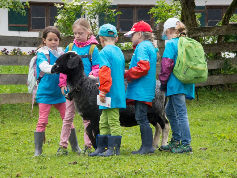 Kinder mit einem Schaf