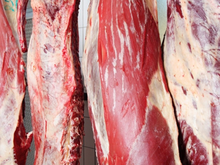 Eine Marktöffnung für sensible Produkte wie zum Beispiel Rindfleisch würde erhebliche Kosten- und Wettbewerbsnachteile für heimische Erzeuger verursachen.