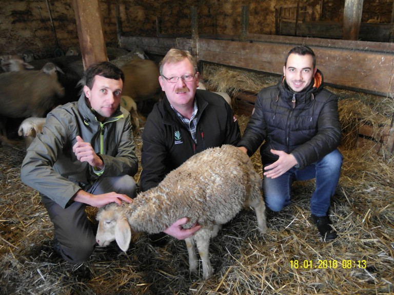Stallgespräch auf dem Betrieb Heiss in Wernfeld 