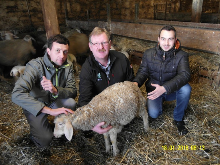 Stallgespräch auf dem Betrieb Heiss in Wernfeld