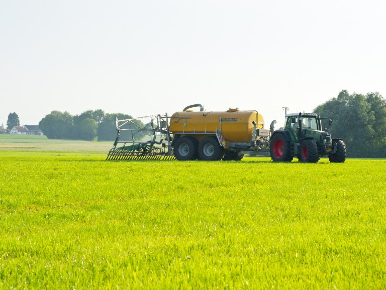 Traktor auf Rapsfeld