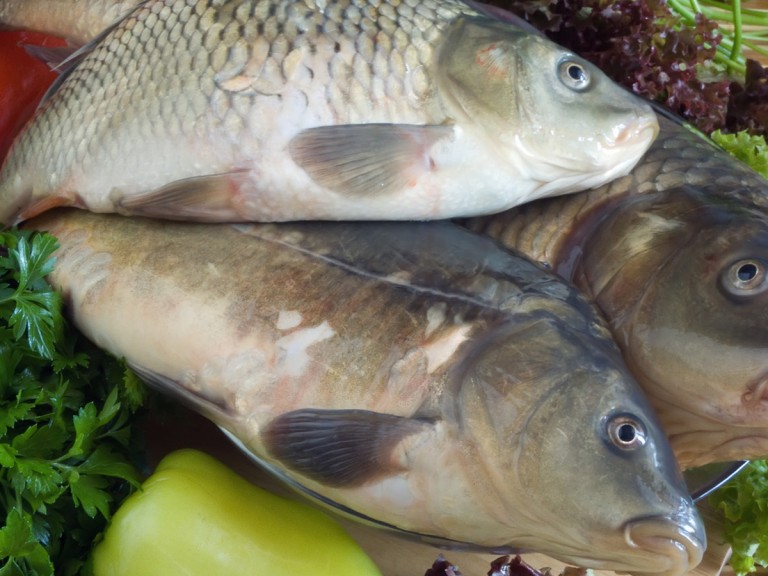 Fische