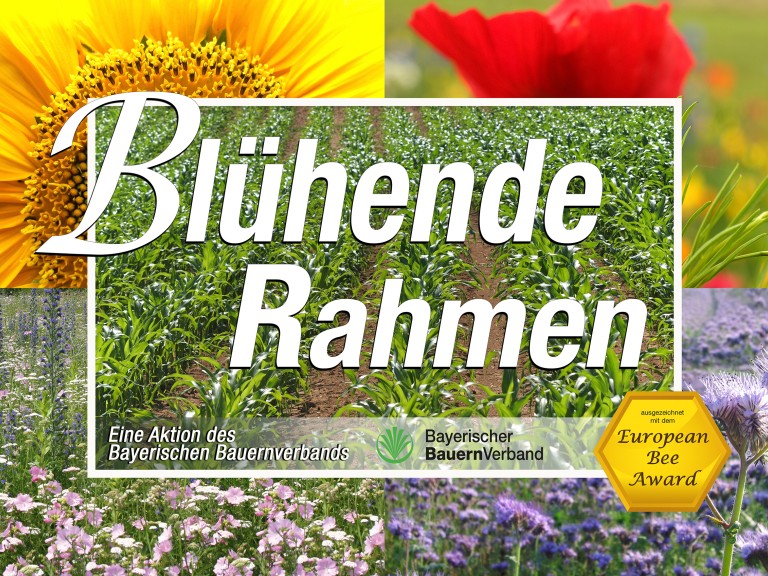 Es ist das farbige Schild "Blühende Rahmen" zu sehen