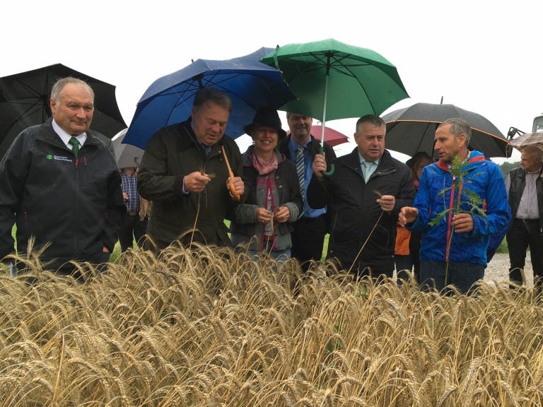 Die Kreisbäuerinn und Kreisobman aus dem Landkreis Starnberg zusammen mit Bauernpräsident Heidl und Landwirtschaftsminister Brunner im Weizenfeld.