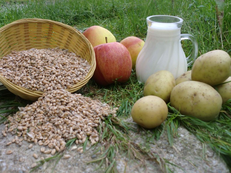 Apfel Milch Kartoffel Getreide