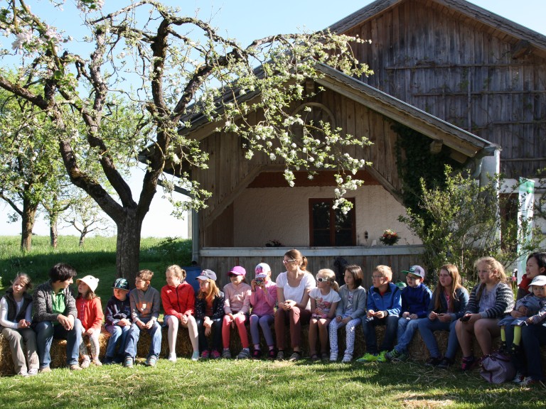 Kinder auf einem Bauernhof